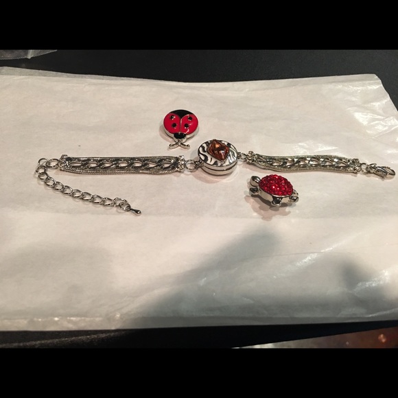 Beautiful bracelet with three looks.(4 piece) New - Picture 4 of 5